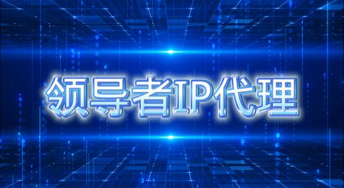 代理服务器在科技推广与应用服务中的高效运用指南