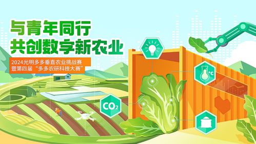 2024光明多多垂直农业挑战赛 破解植物工厂高价难题，科技驱动智慧生菜普惠发展